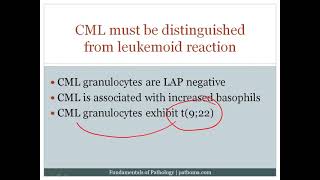 Myeloproliferative disorder chap 6 part 4 pathoma [upl. by Rabkin684]