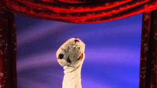 Folkmanis® Ostrich Stage Puppet Demo [upl. by Nore]