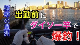 【豊洲ぐるり公園】ショアジギングで良型連発！ [upl. by Iggie]