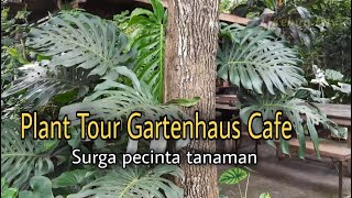 Plant Tour GartenhausCo Malang  EP 12 [upl. by Nannie]