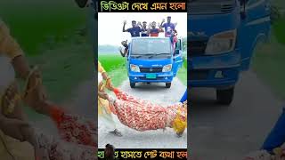 এক বউ দুই জামাইয়ের টানাটানি 😂🔥shorts rahulshwpno funnyvideo [upl. by Noteloc]