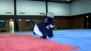 Alfred Heymann 7Dan Aikido Diverse Formen DFL 2010 [upl. by Callan]