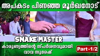 Ways to treat a Cobra Snake  Vava Suresh  Snake Master 11032016 Part 01  Kaumudy TV [upl. by Albemarle806]