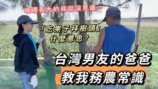 一回台灣就跟男友爸爸學務農！叔叔教我台灣人「吃果子拜樹頭」的傳統和精神｜廖小花 [upl. by Winfield]