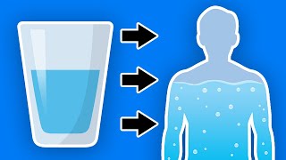 This Happens To Your Body When You Start Drinking More Water Every Day [upl. by Adiahs26]