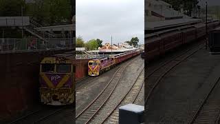 Warragul Shuttles 149 hornshow [upl. by Emersen]