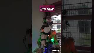 natal natale jesus natividade shortviral [upl. by Reddin]