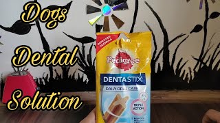 Pedigree Dentastix review and dogs reaction [upl. by Idner61]