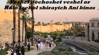 Yerushalaim Shel Zahav  Leonardo Gonçalves [upl. by Aziram581]