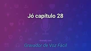 Jó capítulo 28 O homem entende das coisas da terra mas a sabedoria é dom de Deus Cristiana Furlan [upl. by Yerffej]