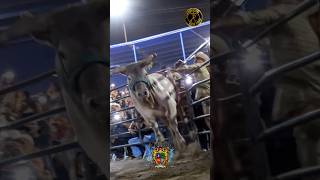 🐂 El G63 🆚 Chaparro de Nayarit 🤠 [upl. by Sabah]