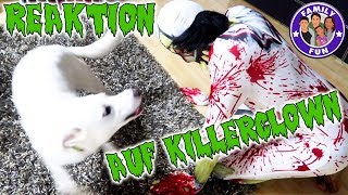 KILLERCLOWN REAKTION BEI HUND Krasses Experiment  Family Fun [upl. by Reina653]