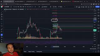 Bitcoin Cash Price Analysis Up Up Up Up Up [upl. by Yauq]