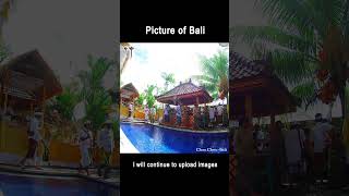 BALI UBUD HD shorts bali ubud hd 3496 [upl. by Hedberg484]