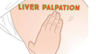 Liver palpation  physical Examination  Techniques For clinical practice ☝️ [upl. by Anidnamra796]