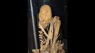 Ancient Mother And Baby Skeletons With Elongated Skulls At Patapatani In Bolivia [upl. by Benedetta803]