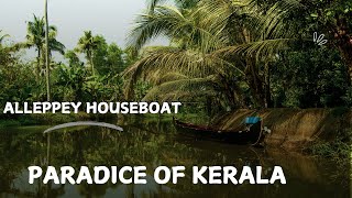 The real Kerala Alleppeys authentic food people and stories Alappuzha  Explorer Yrs हिन्दी [upl. by Etnud]