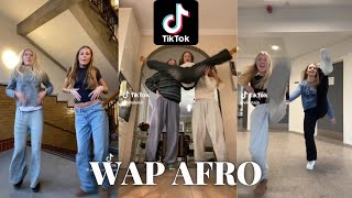 WAP AFRO  Tiktok Dance Trend [upl. by Weihs235]