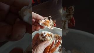 Crab have an algaeIts fats thoughyummy everyone letseats everyone satisfiying shortvideo [upl. by Ahsratal]