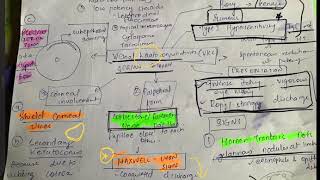 Vernal keratoconjunctivitis in 5 minutes [upl. by Repsaj768]