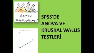 ANOVA VE KRUSKAL WALLIS H TESTLERİ [upl. by Carrissa]