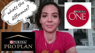 Dog food review Purina One vs Purina Pro Plan What is the difference between the brands [upl. by Lak825]