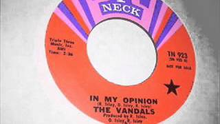 In My OpinionThe Vandals1969 [upl. by Ytissac693]