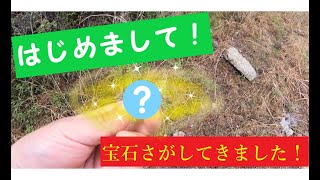 【煙水晶】岐阜県で宝石探し！① 石 鉱物 自然 [upl. by Nolaf378]