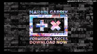 Martin Garrix Forbidden Voices Audio [upl. by Barby]