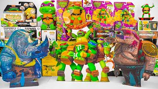 Teenage Mutant Ninja Turtles Unboxing ASMR  Leonardo  Raphael  Donatello  Mikey Box [upl. by Lehcir]