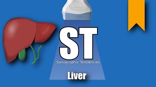 Liver Ultrasound Protocol [upl. by Newcomb656]