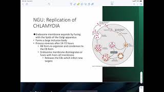 Chlamydia Trachomatis [upl. by Linder]