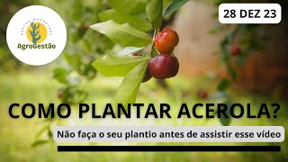 Como plantar acerola [upl. by Gromme]