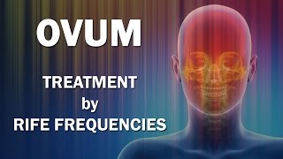 Ovum  RIFE Frequencies Treatment  Energy amp Quantum Medicine with Bioresonance [upl. by Kalila]