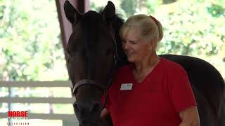 Stirrups ‘n Strides Therapeutic Riding Center  Horses amp Fundraisers [upl. by Derag]