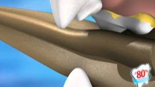 PEDIGREE® DentaStix® 3D Demonstration [upl. by Aehsila]