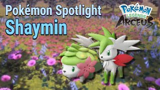 Shaymin Explained  Pokémon Legends Spotlight [upl. by Inavoy]