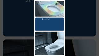 Kerovit Smartwash Toilet  WinterEssentials [upl. by Chretien]