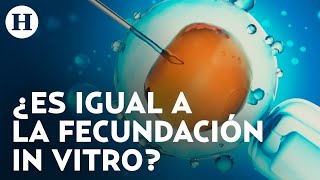 ¿Qué es y cómo se hace la inseminación artificial Tratamiento riesgos y todo que debes saber [upl. by Supen]