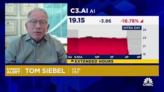 C3AI CEO Tom Siebel on earnings growth and generative AI [upl. by Nnayrrehs]