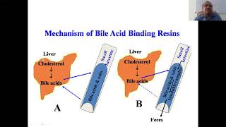 Anti Hyperlipidemic Drugs Part 2 [upl. by Doble671]