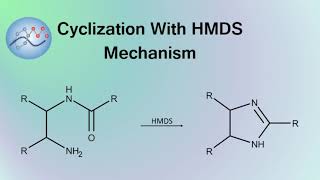 Cyclization With HMDS Mechanism  Organic Chemistry [upl. by Ikin193]