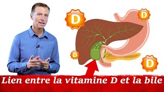 La vitamine D la bile et la vésicule biliaire l Dr Eric Berg [upl. by Godewyn]