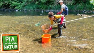 Barfuß im Bach  Reportage für Kinder  Pia und die wilde Natur [upl. by Anhsirk]