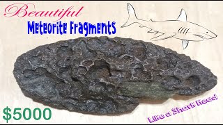 Rare Iron Meteorite fragment  SHARK HEAD [upl. by Aitam659]