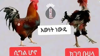 ኢክራም ይቱብ is live [upl. by Annovoj]