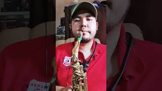 Rieleros Del Norte mil cadenas saxofon alto shorts music cover short youtubeshorts viral [upl. by Galliett335]