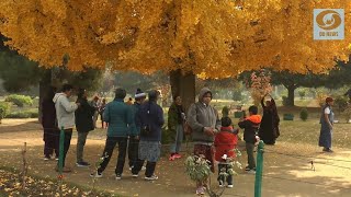 Autumn quotThe Harudquot In Kashmir [upl. by Oiliduab]