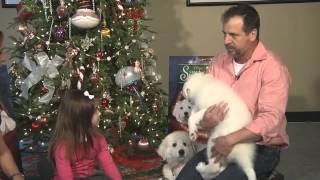 Kaitlyn Maher 8yo quotSanta Paws 2quot  WSBTV Atlanta  nov 2012avi [upl. by Halimaj]