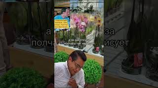 Не за что купить орхидеицветут orchidcare цветы орхидеи plants orchidarium пересадкаорхидеи [upl. by Navlys]